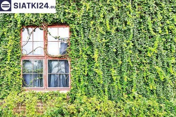 Siatki Brzesko - Siatka z dużym oczkiem - wsparcie dla roślin pnących na altance, domu i garażu dla terenów Brzeska