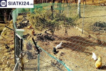 Siatki Brzesko - Siatka na woliery - zabezpieczenia ptaków w hodowli dla terenów Brzeska